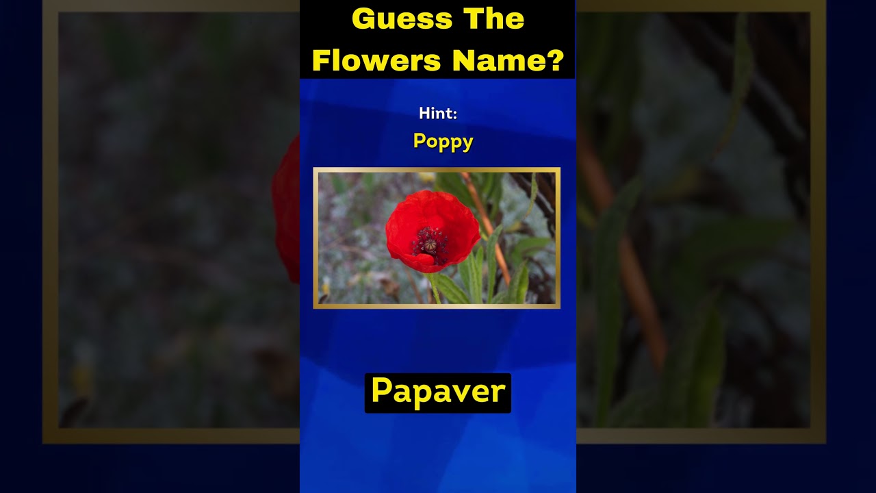 Guess The Flowers Quiz? | Hint By The Pictures | 