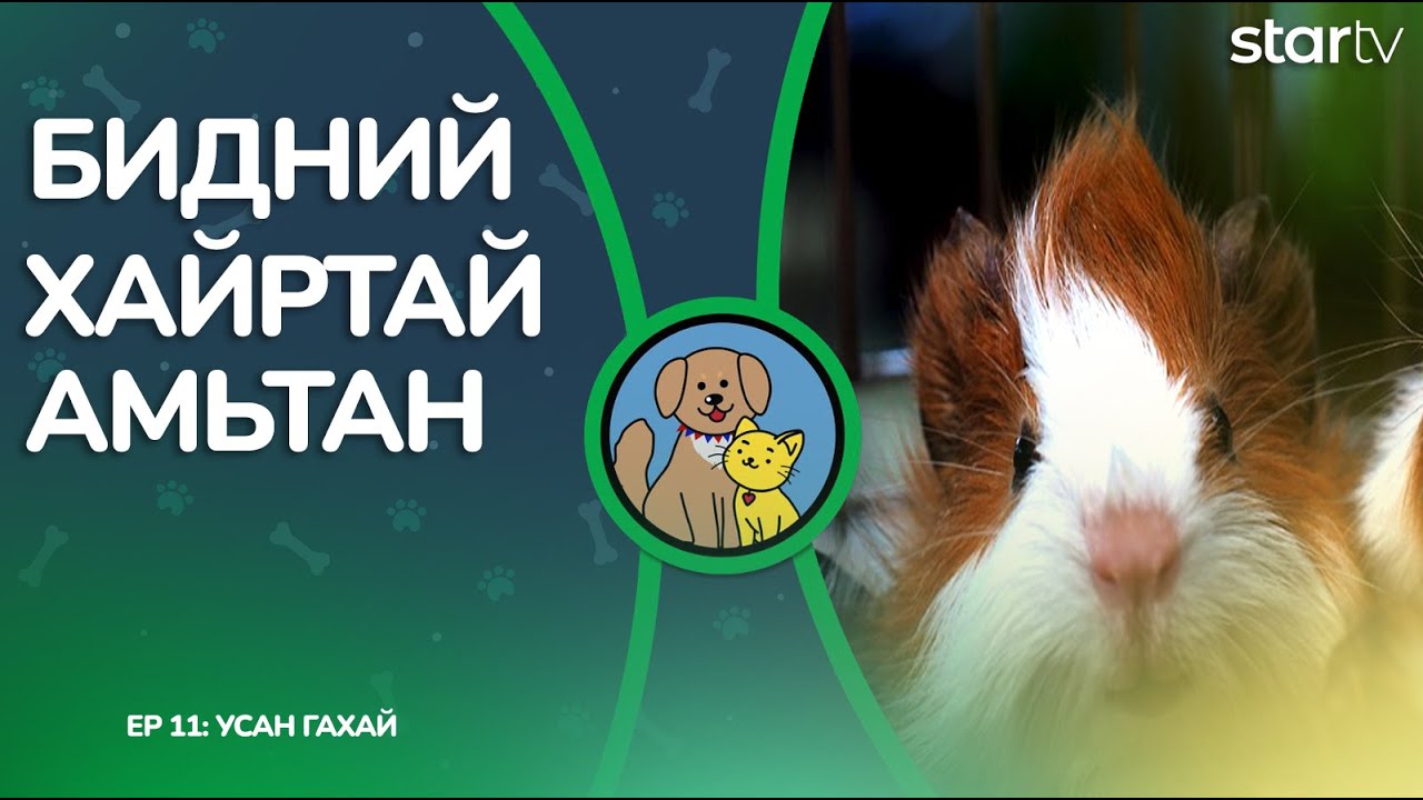 БИДНИЙ ХАЙРТАЙ АМЬТАН нэвтрүүлэг дугаар 11