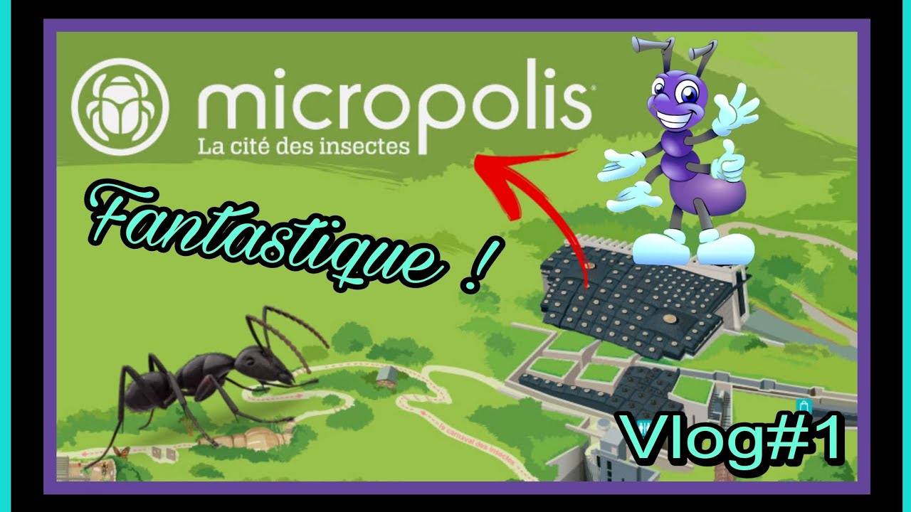 MICROPOLIS! Immersion dans une Fourmilière Géante! 