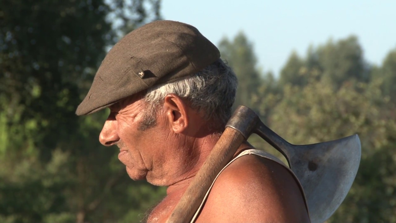 O CANTAR DA CORTI&Ccedil;A