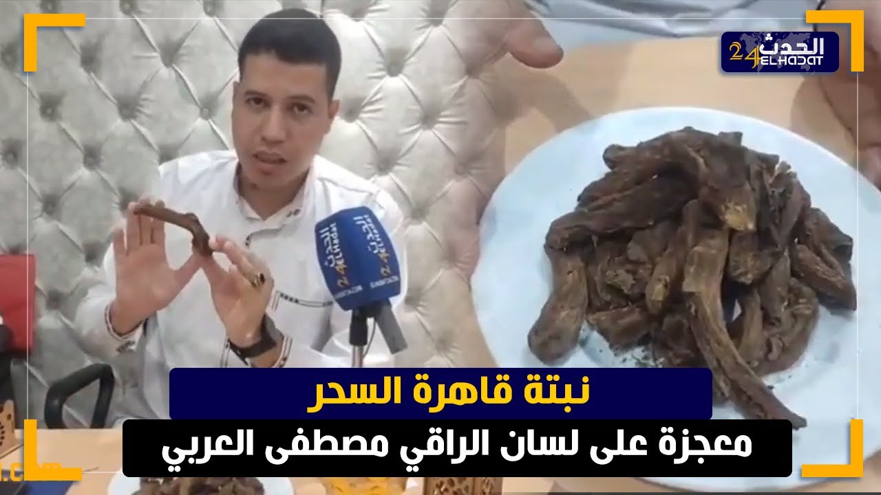 نبتة تقضي على السحر والشعودة  معجزة على لسان الراقي مصطفى العربي