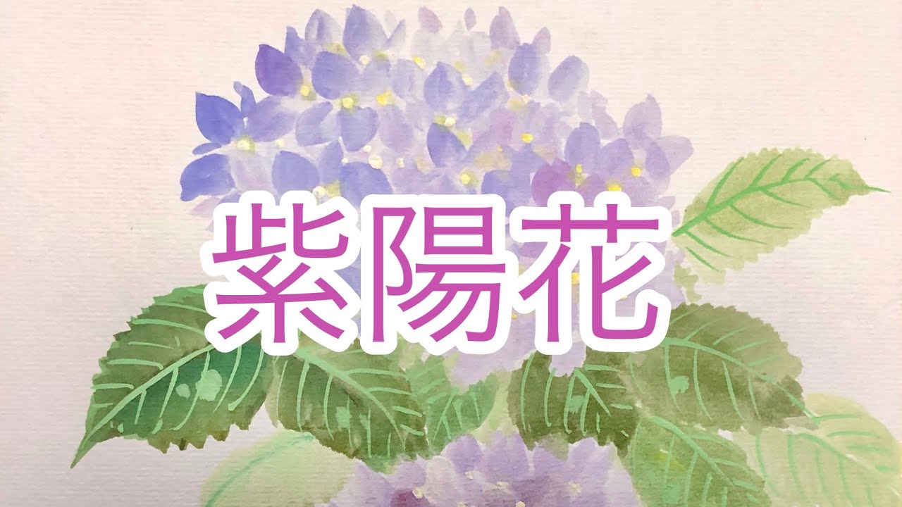 【アジサイ】紫陽花の描き方。墨彩画で描くあじさい。(ノーカット　Uncut）