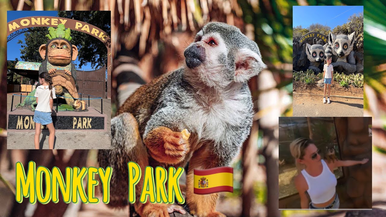 [5K] MONKEY “attack” 😀 MONKEY PARK - Tenerife, adventure just for 10€ !!