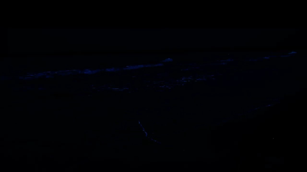 Sleep Deep with Ocean Waves 🌊 24H White Noise | Calm Night, Reduce Anxiety & Insomnia