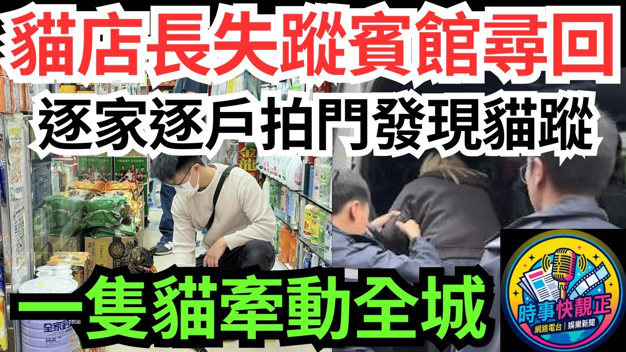 【全城尋貓記】旺角藥房貓店長阻B離奇失蹤!店主逐家逐戶拍門!門隙驚見貓影賓館尋回!拆解偷貓疑雲、店主兩難與社區情#全城熱話 #網絡熱話 #社會時事 #社會熱話 #時事 #社會新聞 #民生 #港聞