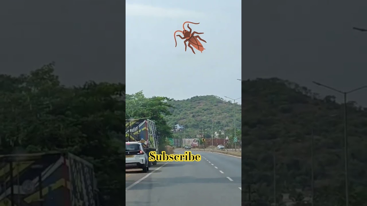 #protest #cockroachjantaparty #anthem #trending #viral #public #ytshorts