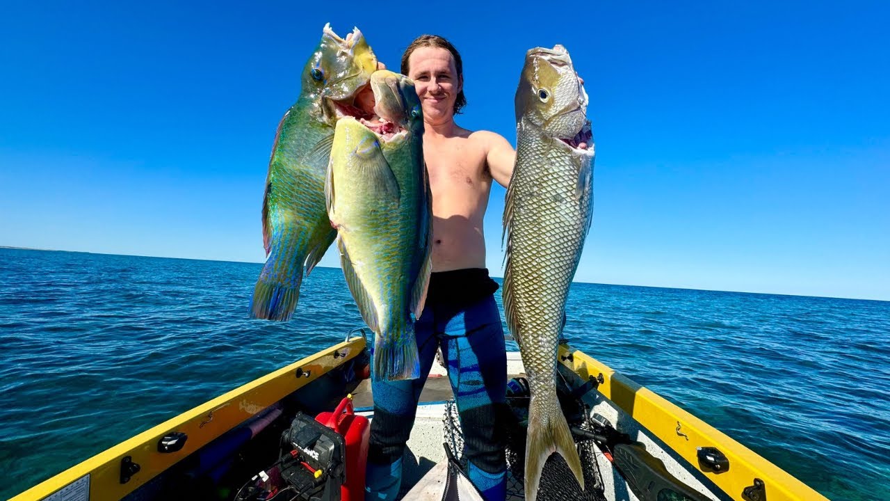 EPIC SPEARFISHING REMOTE ISLANDS EXMOUTH JOBFISH & MORE (CATCH & COOK)   TRAVELING AUSTRALIA