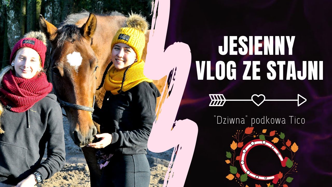 VLOG ZE STAJNI 🐴 | Dziwna podkowa Tico