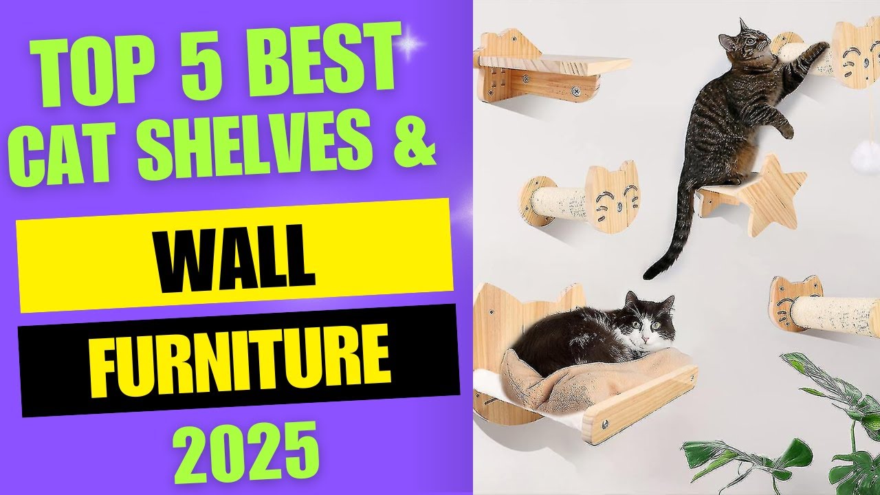 Top 5 Cat Shelves and Wall Furniture 2025