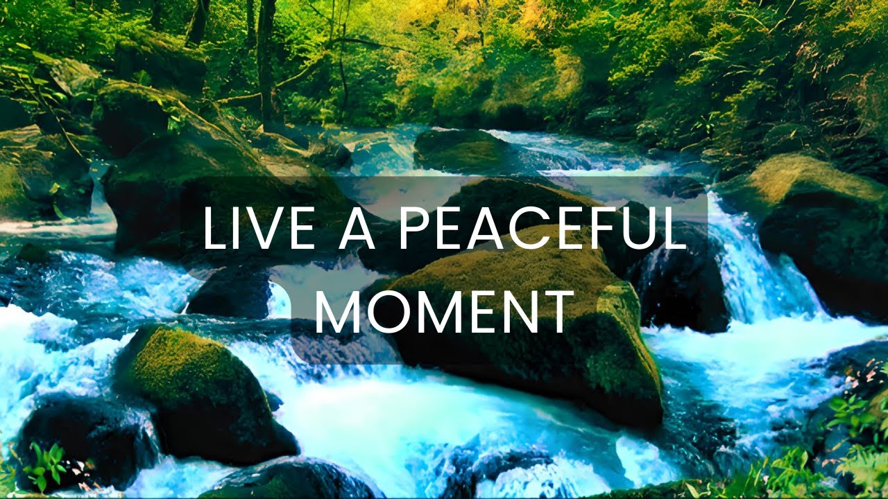 Relaxing Music & Flowing Water 🌿 Nature Ambience for Meditation, Study & Deep Calm (3 Hours)