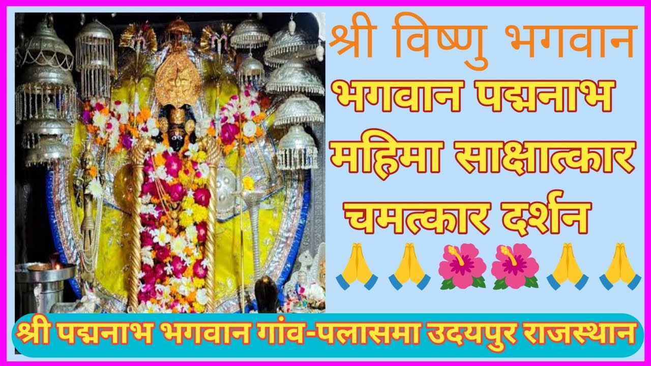 पदमनाथ मंदिर पलासमा।। चमत्कारिक विष्णु मंदिर।। साक्षात न्याय दर्शन।।#Padamnath#temple #vishnu 