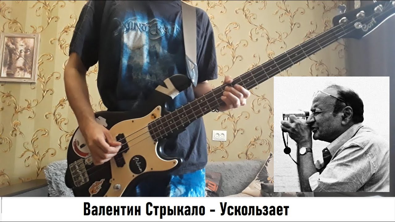 Валентин Стрыкало - Ускользает BASS COVER + TABS
