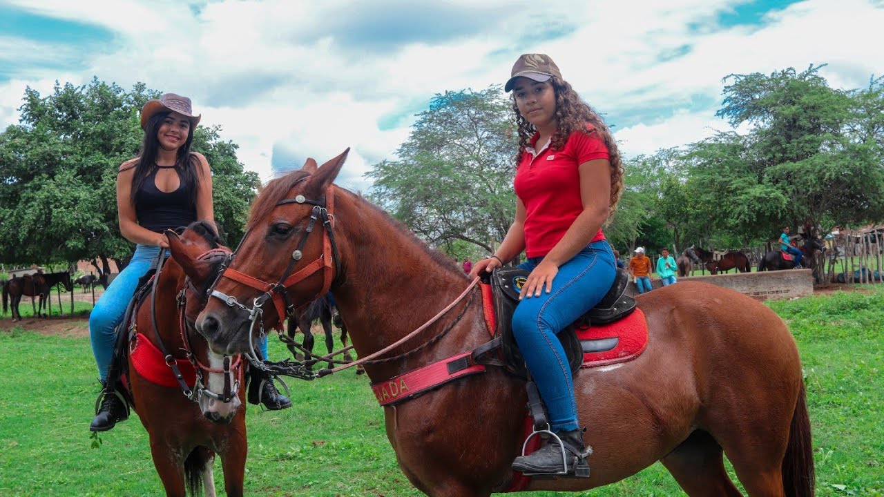 🐎💲FEIRA DE CAVALO EM GRAVATÁ PE - A MAIOR FEIRA DA REGIÃO!! (18/04/2021)