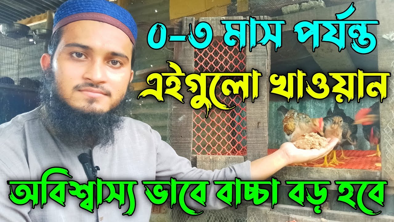 ০-৫মাস পর্যন্ত এই খাবার খাওয়ালে মুরগির বাচ্চা দ্রুত বড় হবে🔥| মুরগির খাবার | দেশি মুরগি পালন পদ্ধতি