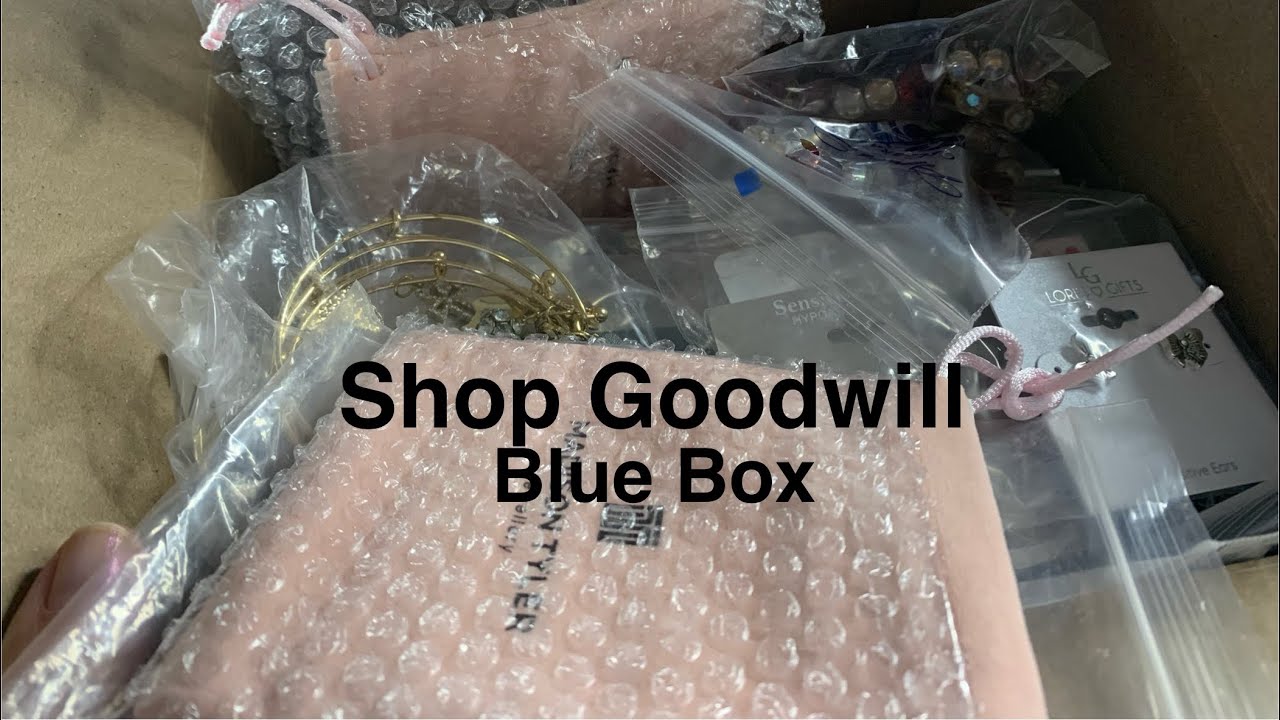Finally!!! A Shop Goodwill Blue Box… Just Not the one I Wanted 🤷🏻‍♀️