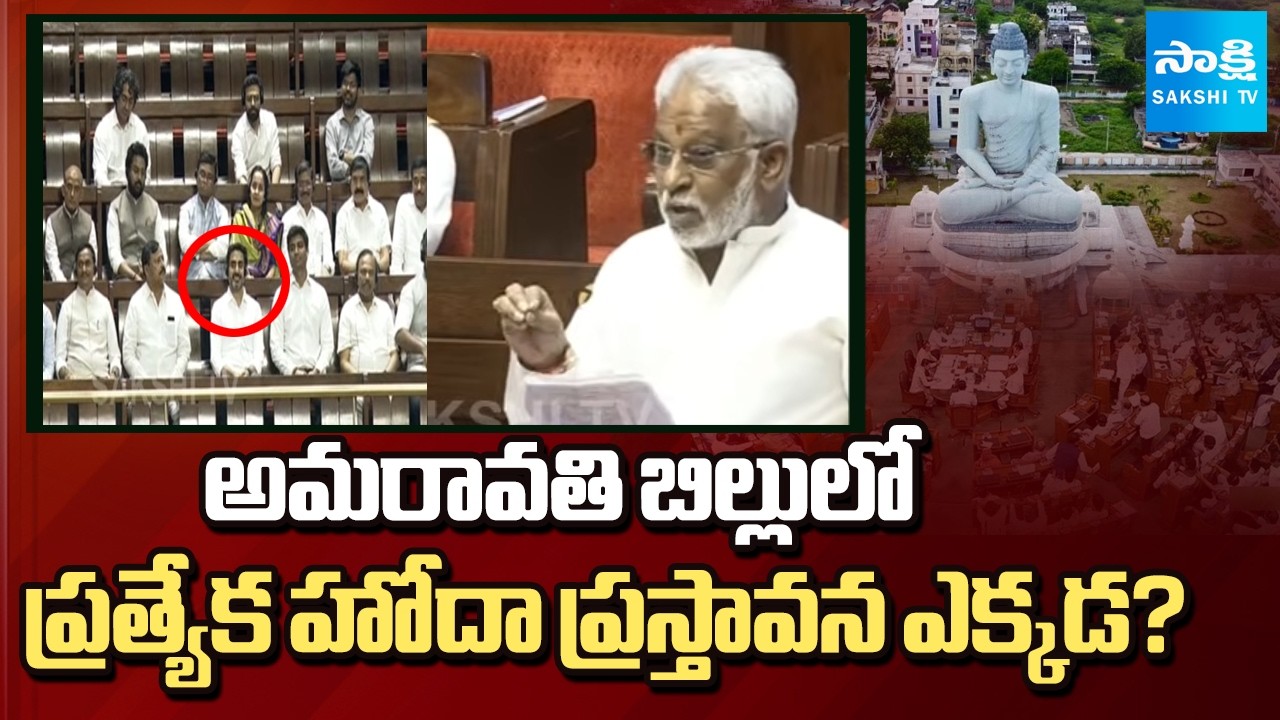 YV Subba Reddy Reaction About Amaravati Bill in Rajya Sabha | Where is Special Status | Sakshi TV