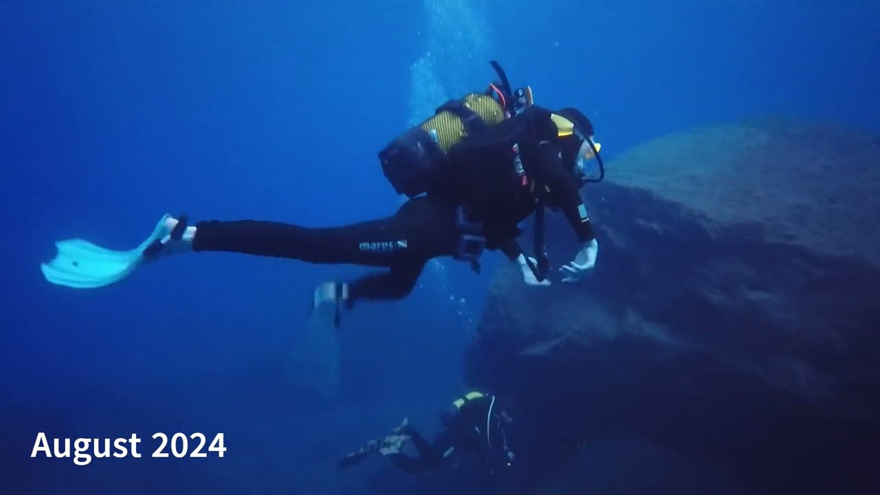 Madeira Diving August 2024