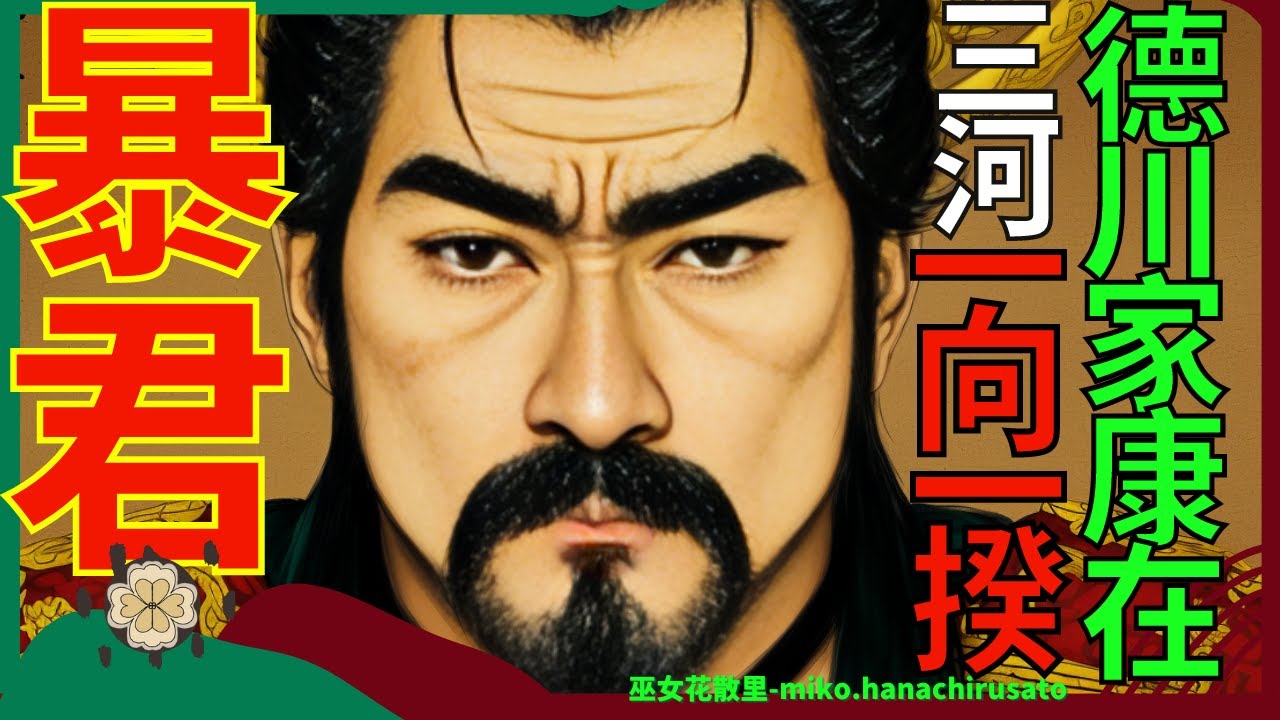 詳細告訴你德川家康在三河国的殘酷統治 | 《怎麼辦家康》不會告訴你的三和一向一揆原因和過程；以及從松平元康改名為德川家康的真正原因与暴君手段