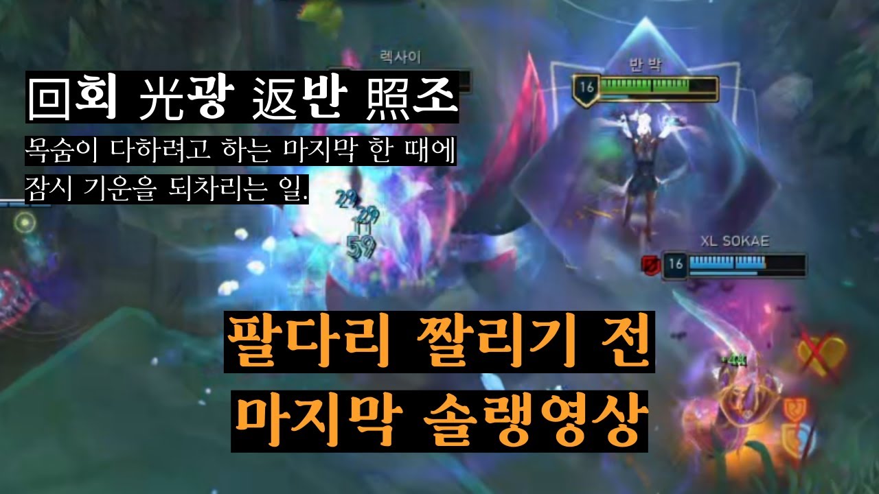 회광반조