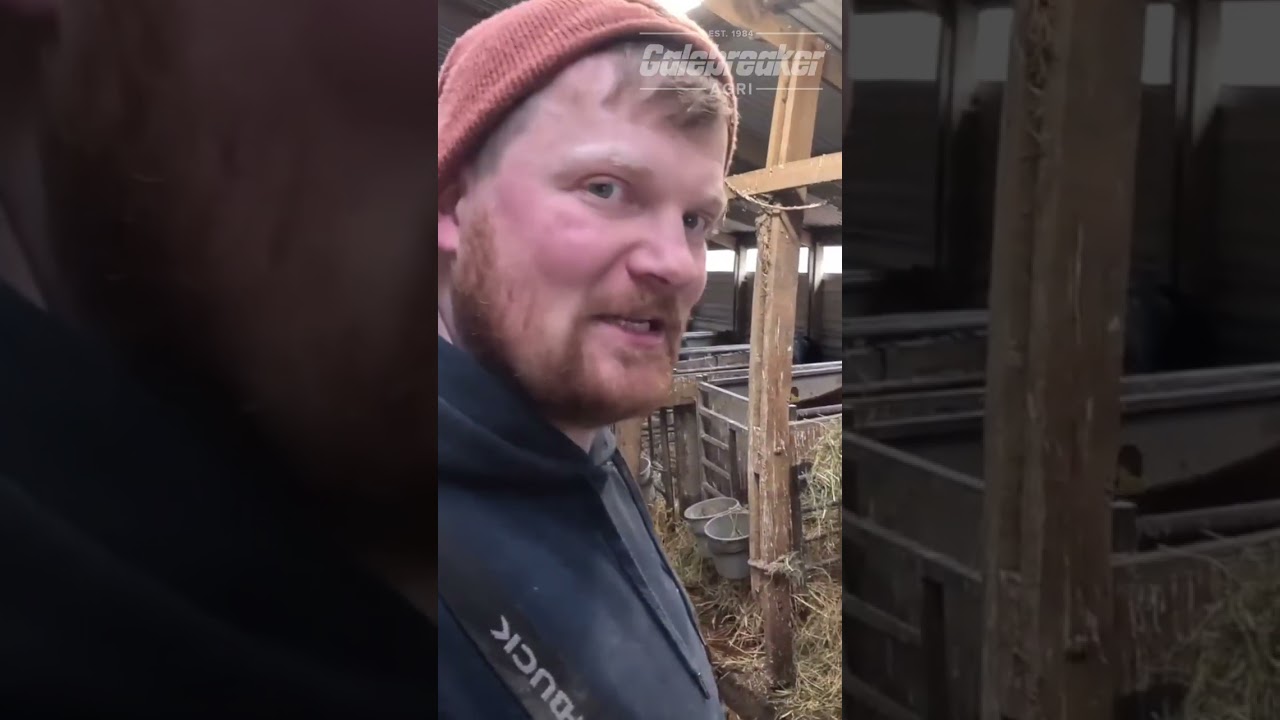 Calf Shed Review & Chloe’s 5 Key Points for Calf Health