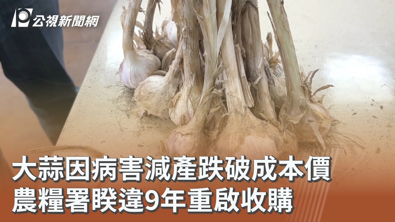 大蒜因病害減產跌破成本價 農糧署睽違9年重啟收購｜20260320 公視午間新聞