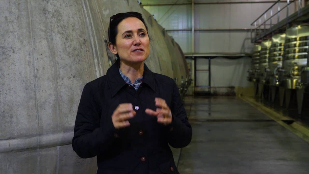 Argentina - Laura Catena on Malbec's Capacity to Express Terroir in Argentina