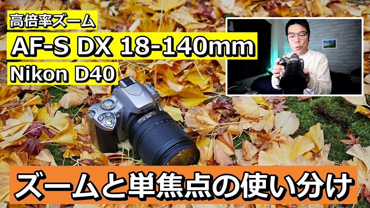 ズームと単焦点の使い分け AF-S DX 18-140mm  令和に D40の発色