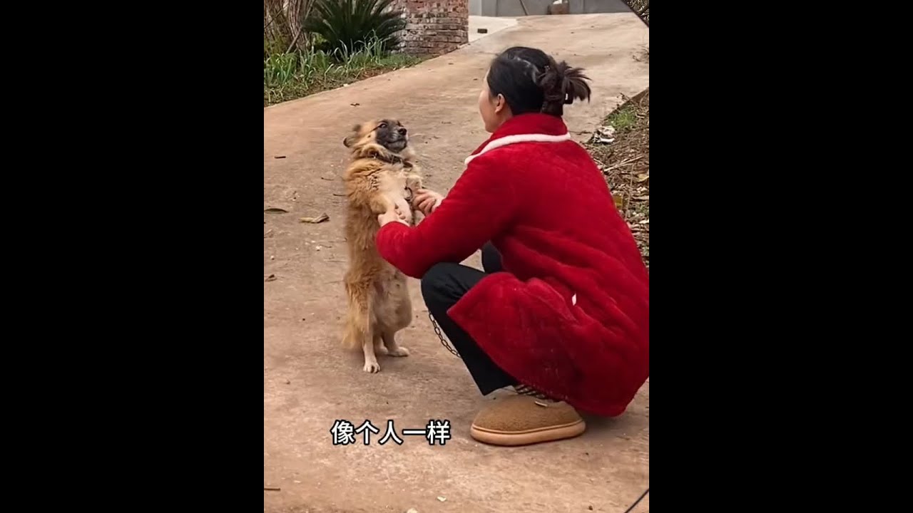 今年是暖冬，但是四川偶尔也会魔法攻击一下#vlog日常 #我的乡村生活 #我的日常生活 #单亲妈妈