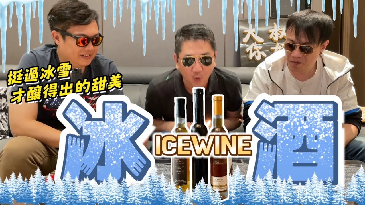 【甜美 冰酒】ICEWINE  寒冬下的葡萄，從德國到加拿大，液體黃金的驚人旅程！三支冰酒帶來的風味及搭配食物