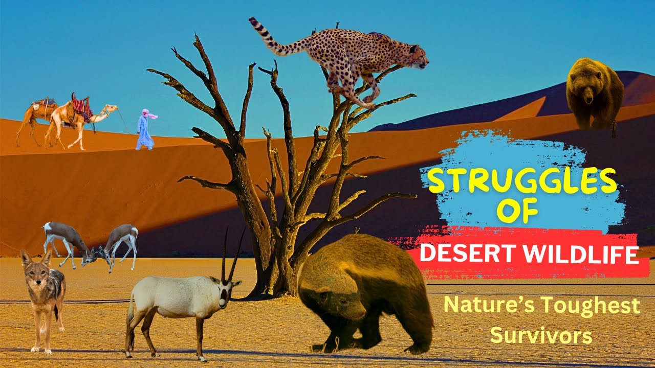 The Struggles of Desert Wildlife - Nature&rsquo;s Toughest Survivors