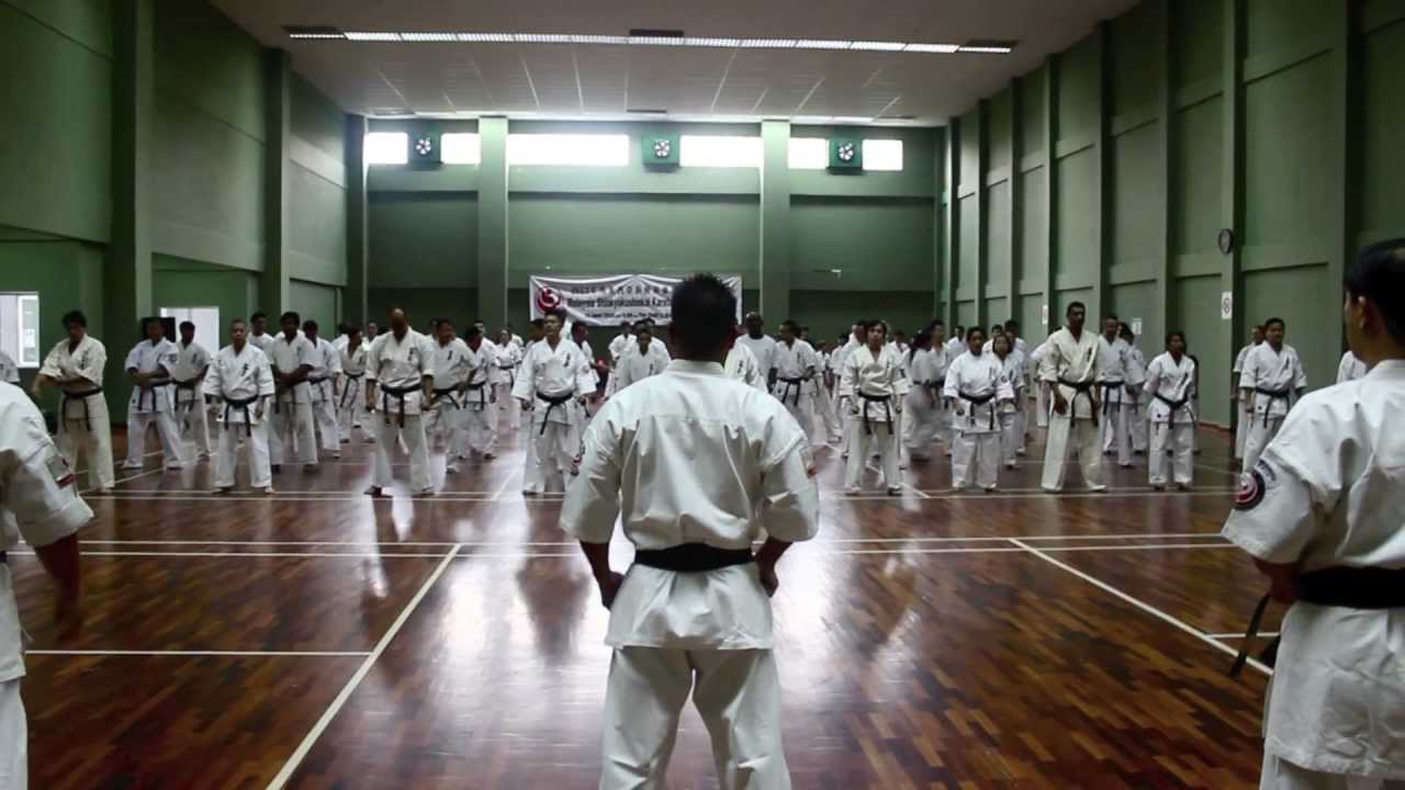 【新極真会】Shihan Kenji Midori Seminar
