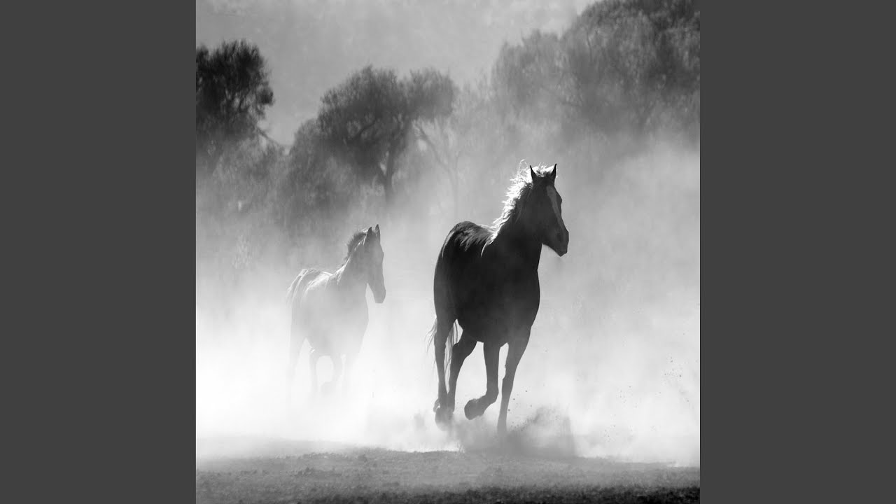 Wild Horses