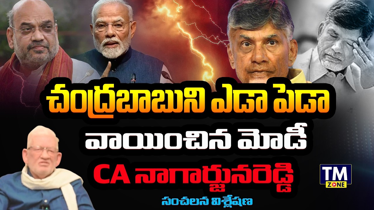 చంద్రబాబుని ఎడా పెడా వాయించిన మోడీ..! CA Nagarjuna Reddy Exclusive Interview About Chandrababu, Modi