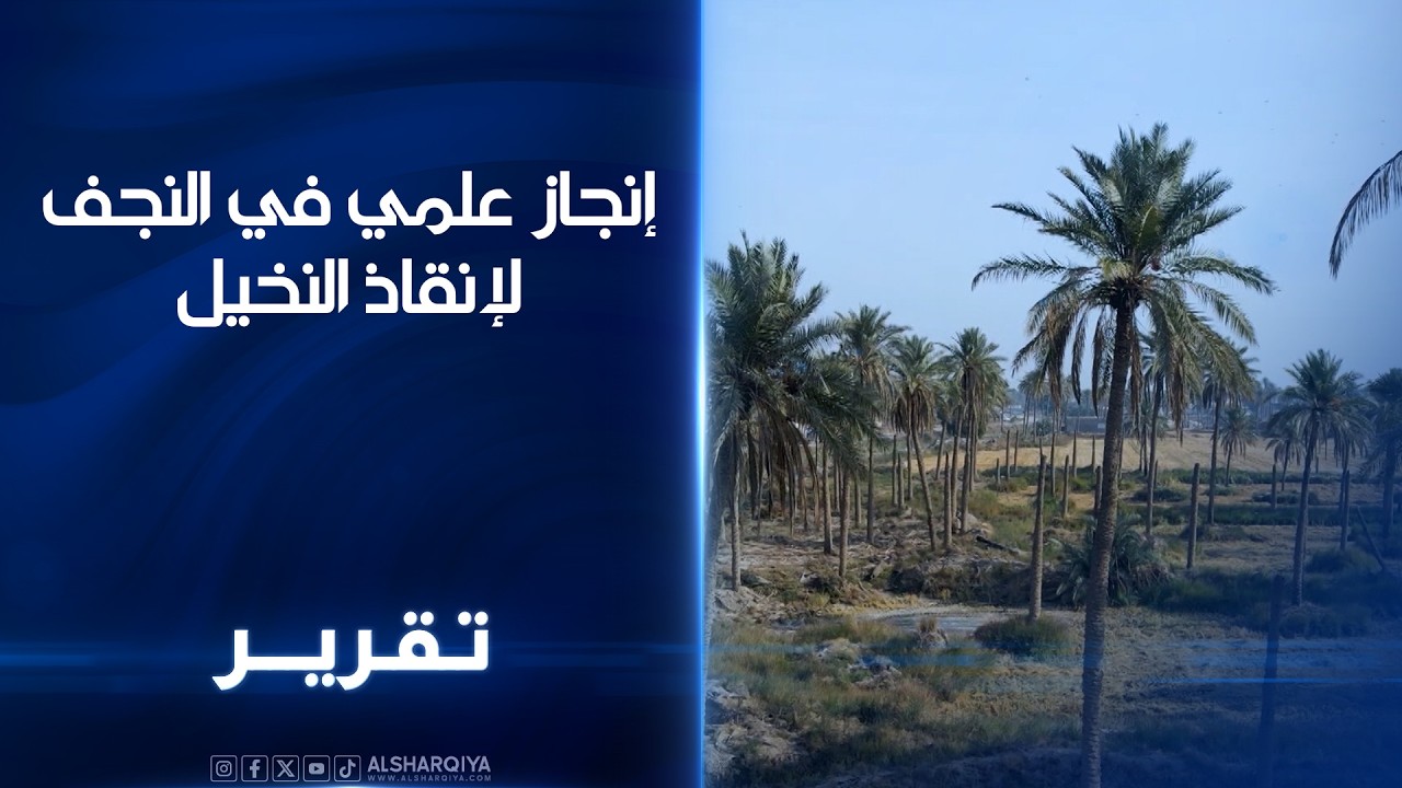 إنجاز علمي في النجف مسجل في الولايات المتحدة لإنقاذ نخيل العراق من 45 وباء وآفة خطيرة