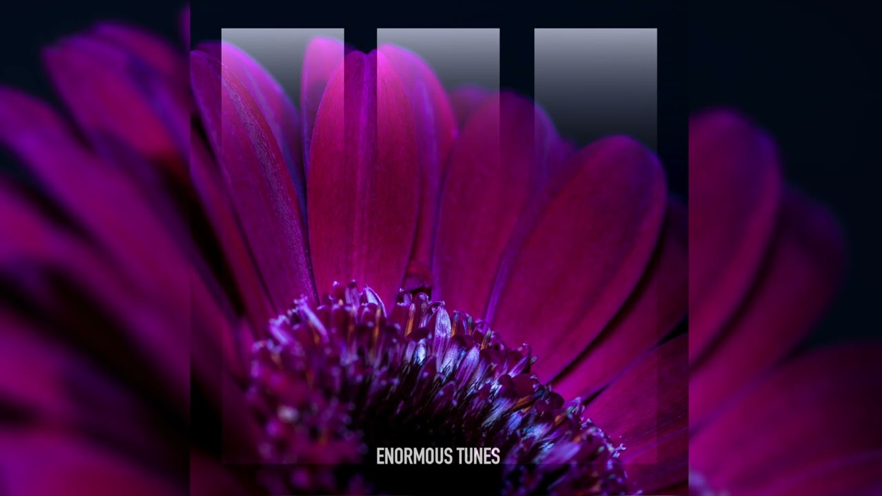 Helvetic Nerds - Black Hole