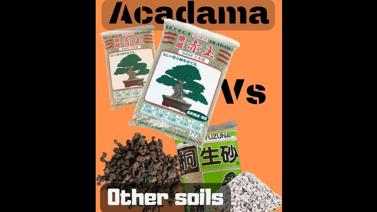 What BONSAI soil? How much water does it retain. Acadama VS Kiryu, Lava Rock and Cat Litter