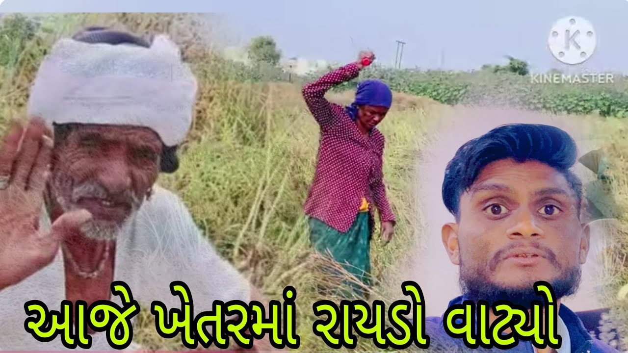 આજે ખેતરમાં મમ્મી અને પપ્પા રાયડો વાઢ્યો Gujarati Vlog video #vlog #vairalvideo #familyvideo 