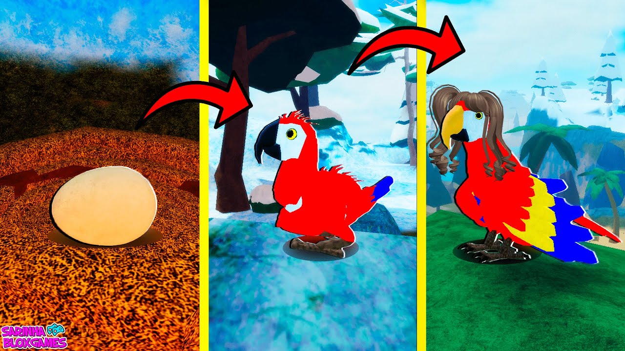 CICLO DE VIDA DA ARARA SARINHA - Feather Family - Roblox
