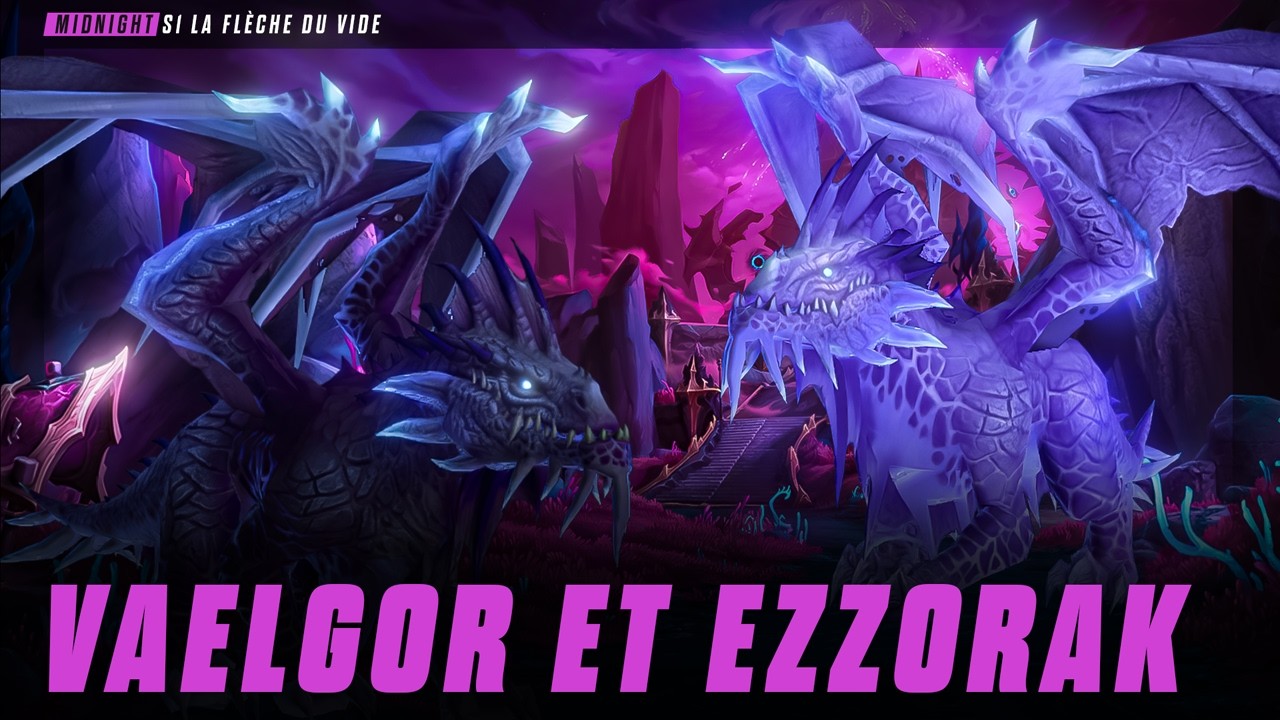 Guide Complet [HM] : VAELGOR ET EZZORAK- RAID LA FL&Egrave;CHE DU VIDE