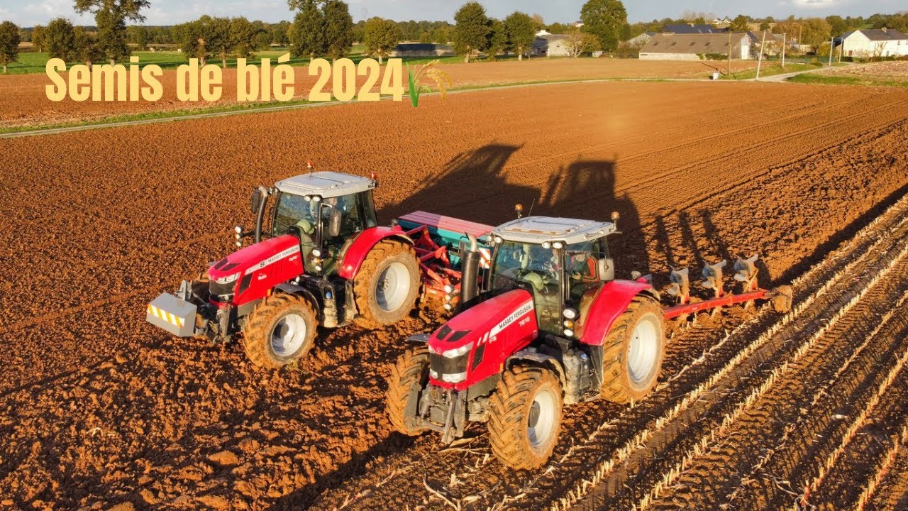 Semis de blé