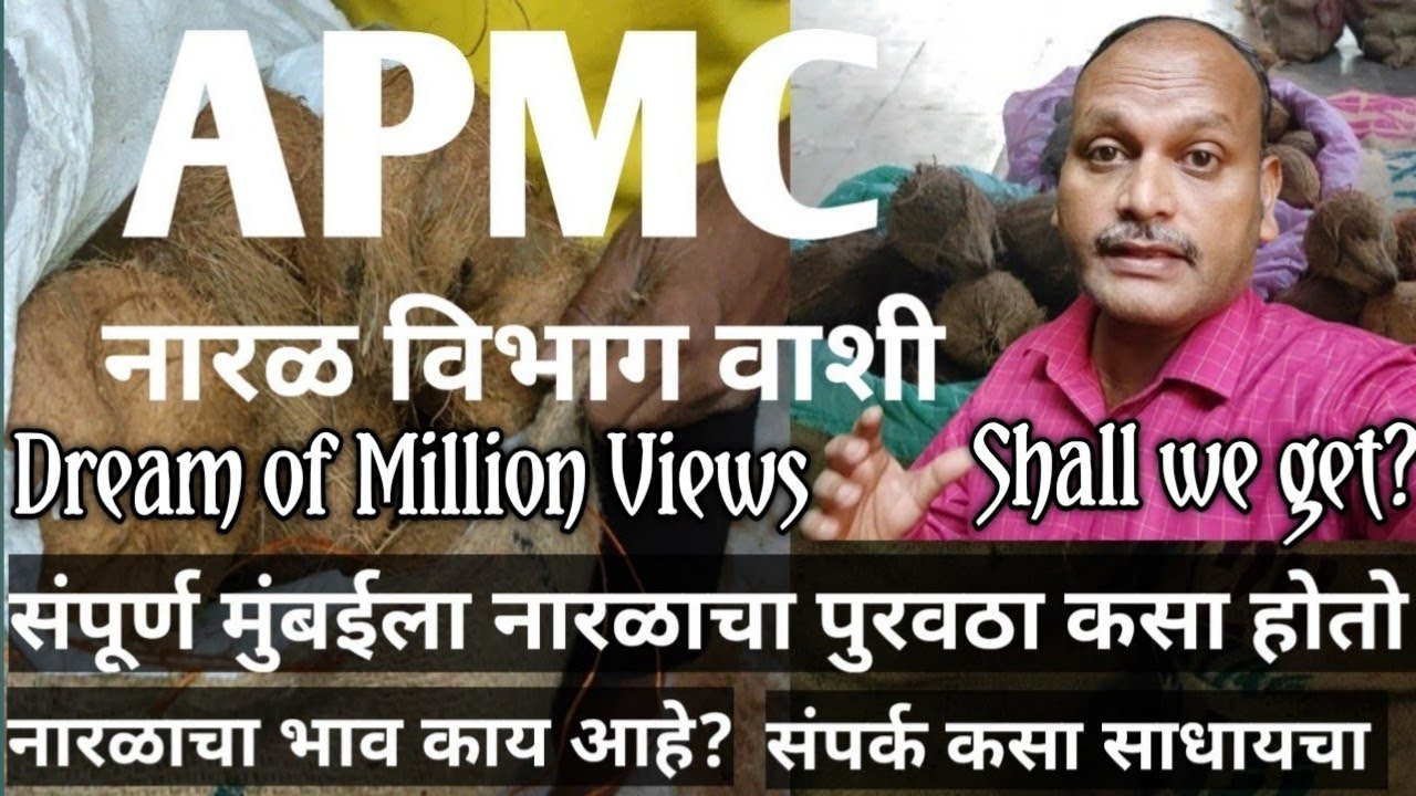 Vashi  APMC wholesale Coconut market | वाशी नारळ मार्केट | तुभे नारळ मसाला मार्केट