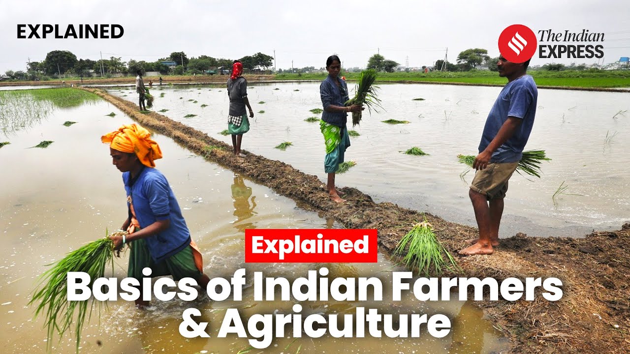 Explained: Beyond MSPs and Protests, Some Basic Facts about Indian Farmers