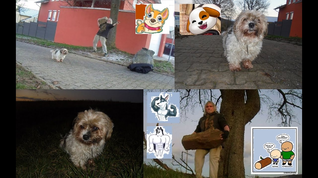 TUESDAY EVENING WALK/Steinheben: c.a. 40 - 50 kg Stein schultern/Farmers Walk 50 kg plus 👍🏻💪🏻😊🐶🪨🌳🍐🌄🌃