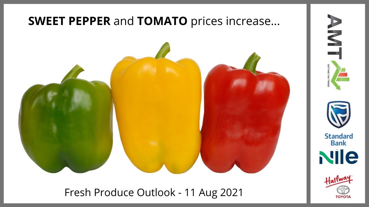Sweet pepper and tomato prices increase...11 Aug 2021