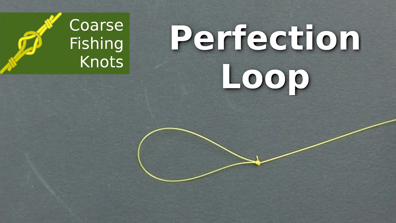 Perfection loop - How to tie