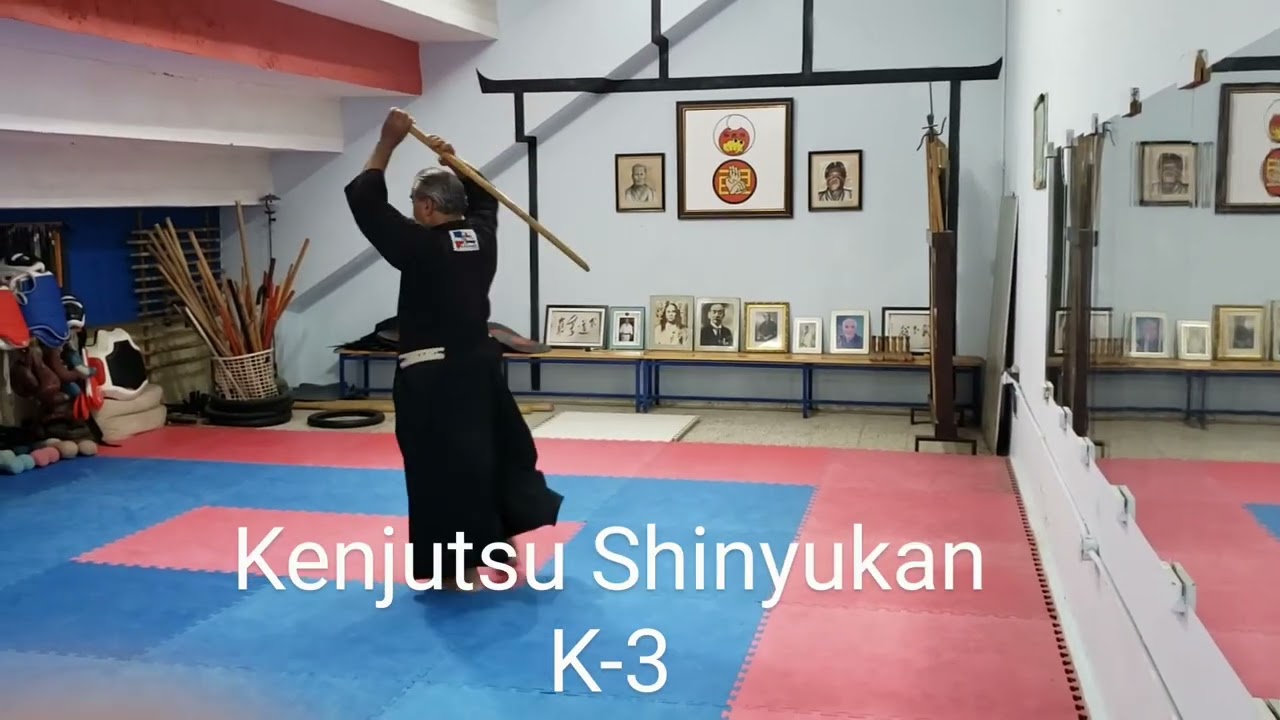 Kata Shinyukan K 3