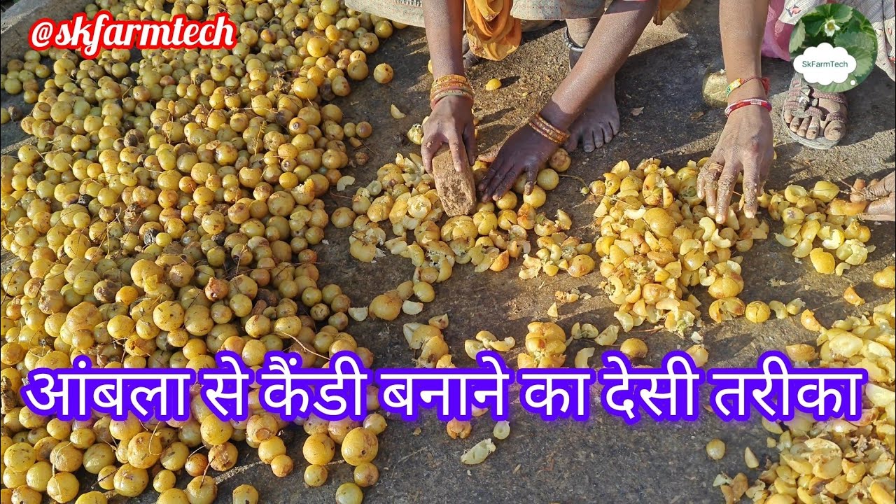Aambla se candy kaise bnaye || how to make aambla candy 