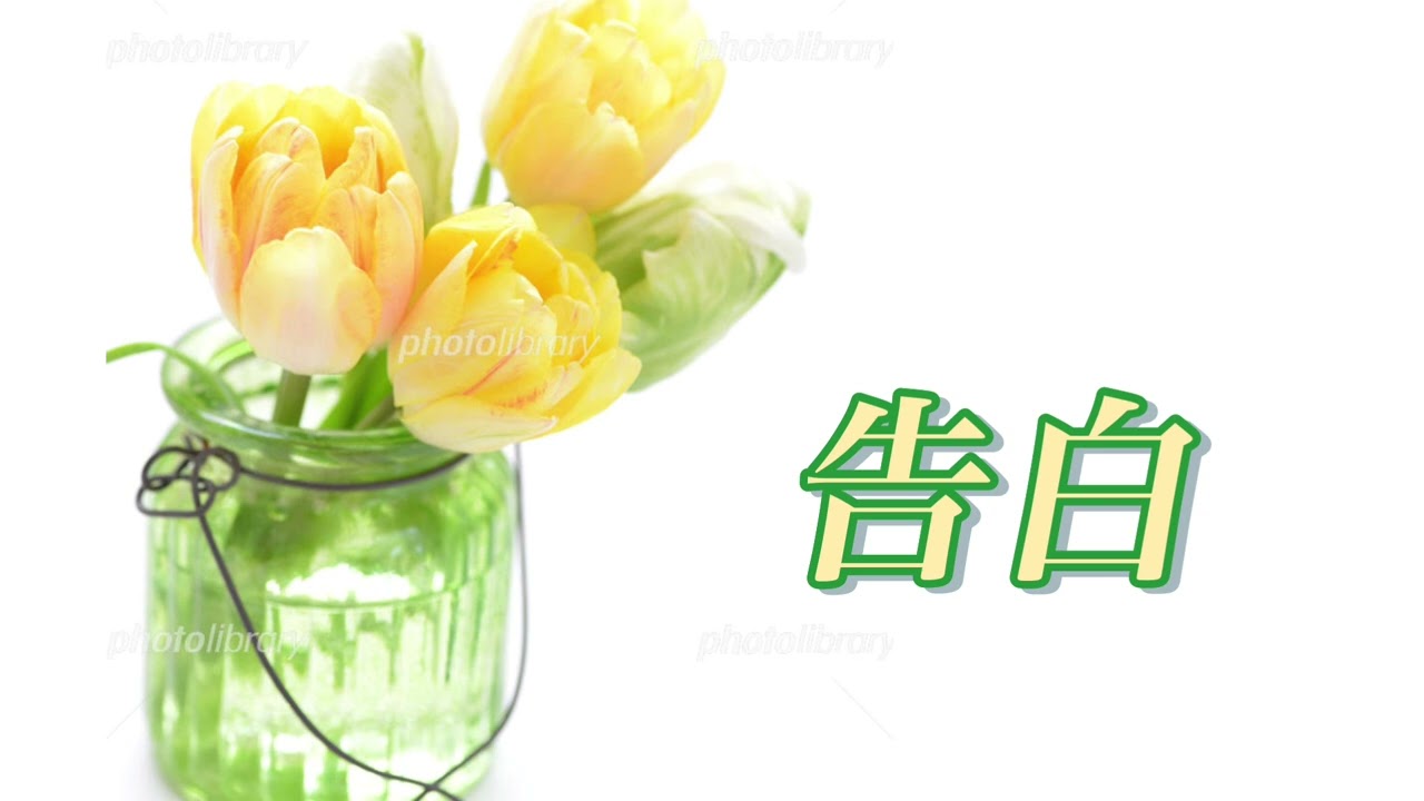 告白／竹内まりや／#ポケカラで歌ってみた 