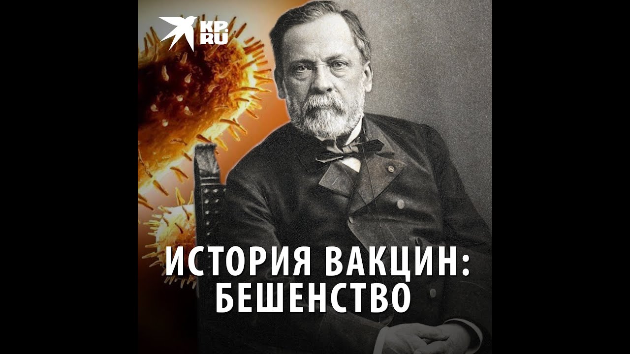История вакцин: бешенство