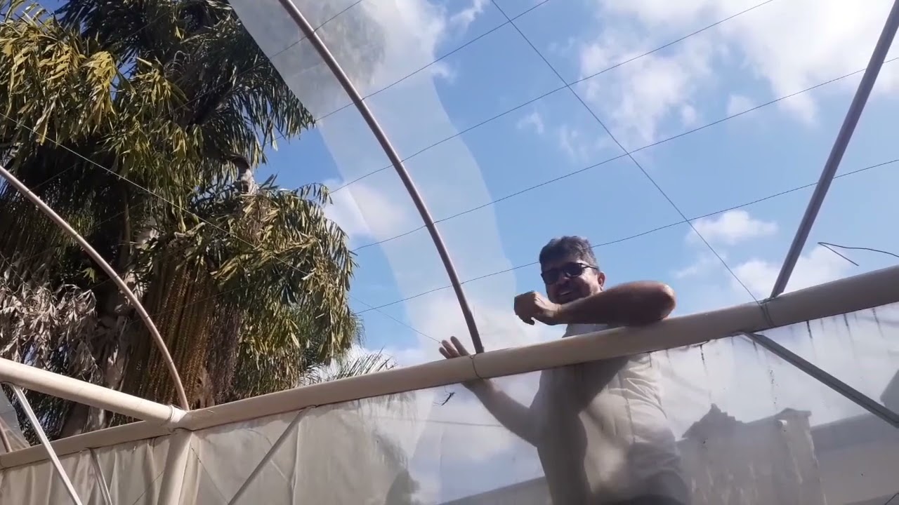 Como trocar o plástico e sombrite da estufa de PVC para aquaponia